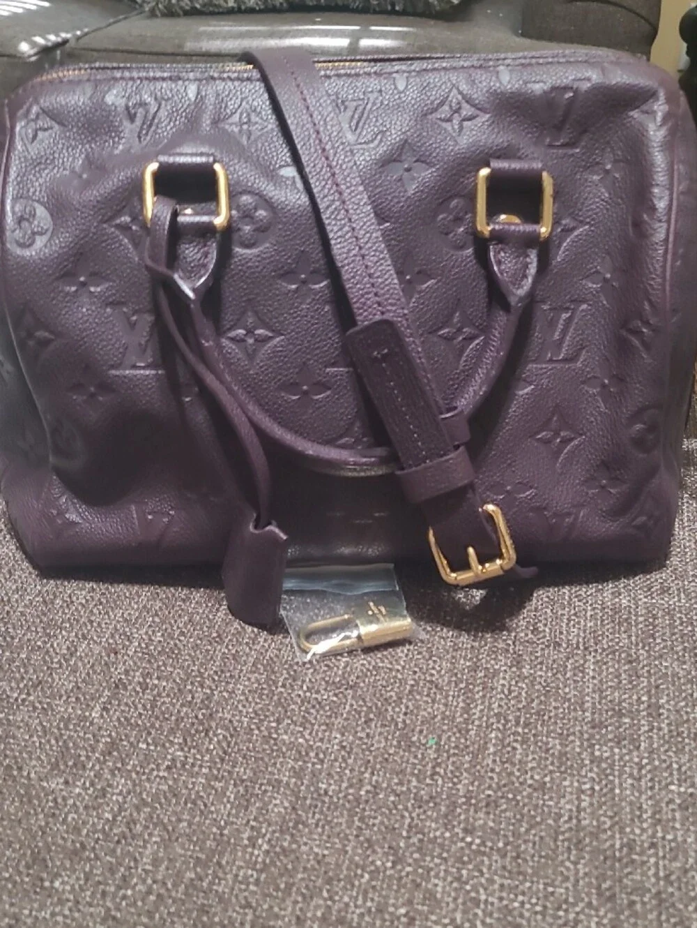 Louis Vuitton luxurious purple